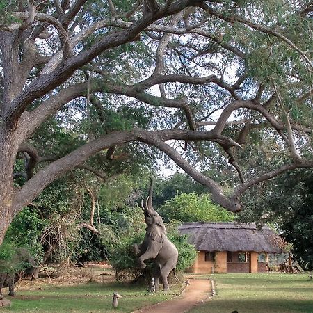 Track And Trail River Camp Kakumbi Luaran gambar