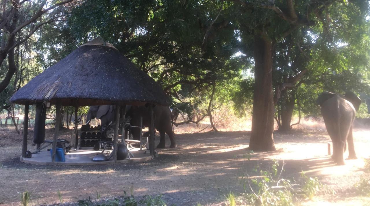 Track And Trail River Camp Kakumbi Luaran gambar