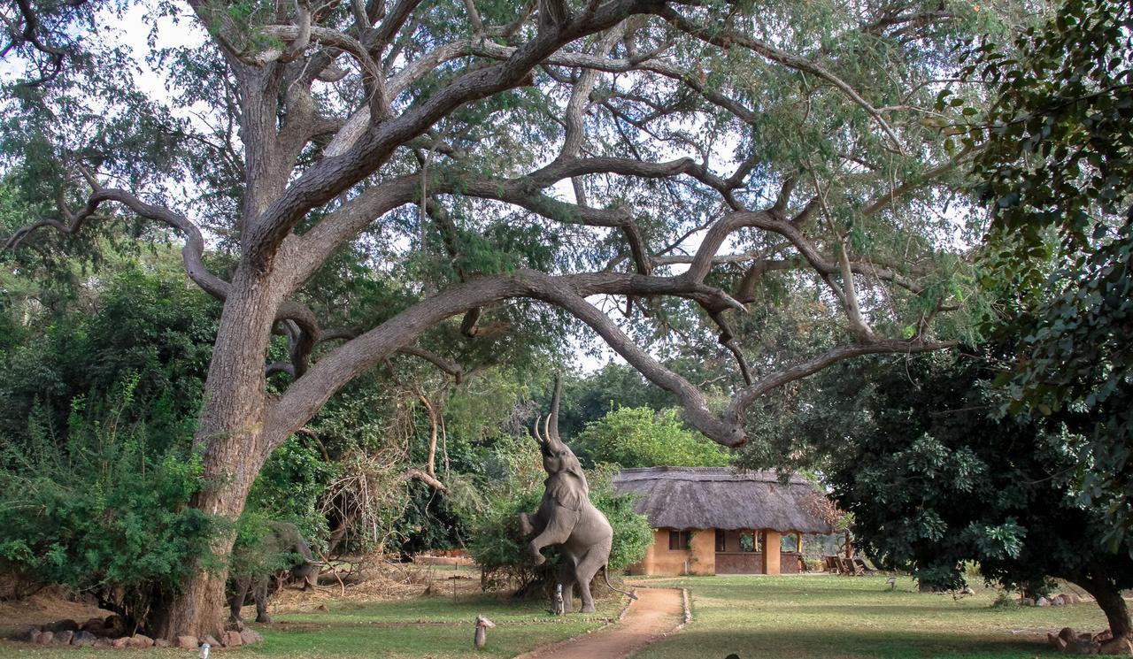 Track And Trail River Camp Kakumbi Luaran gambar