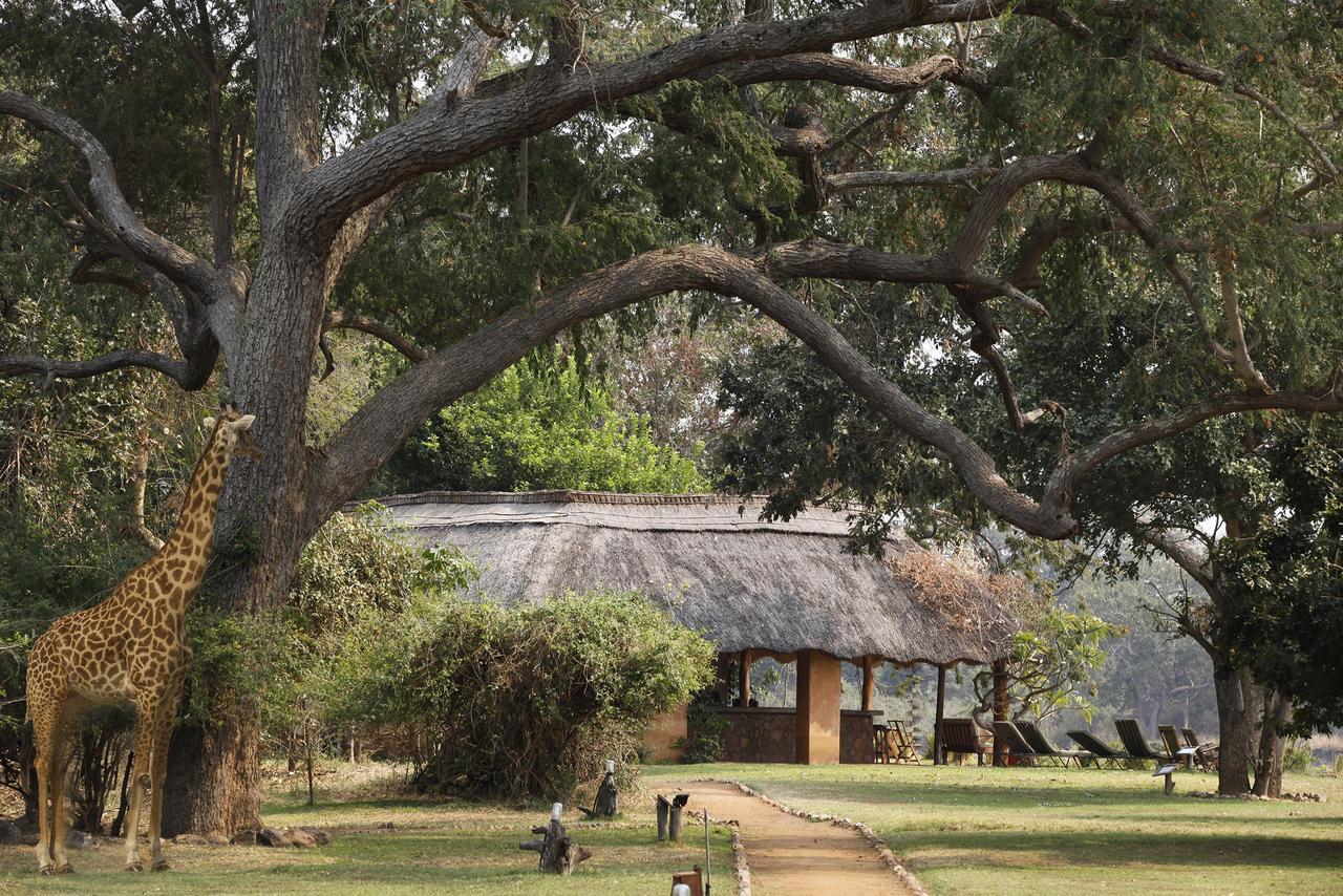 Track And Trail River Camp Kakumbi Luaran gambar