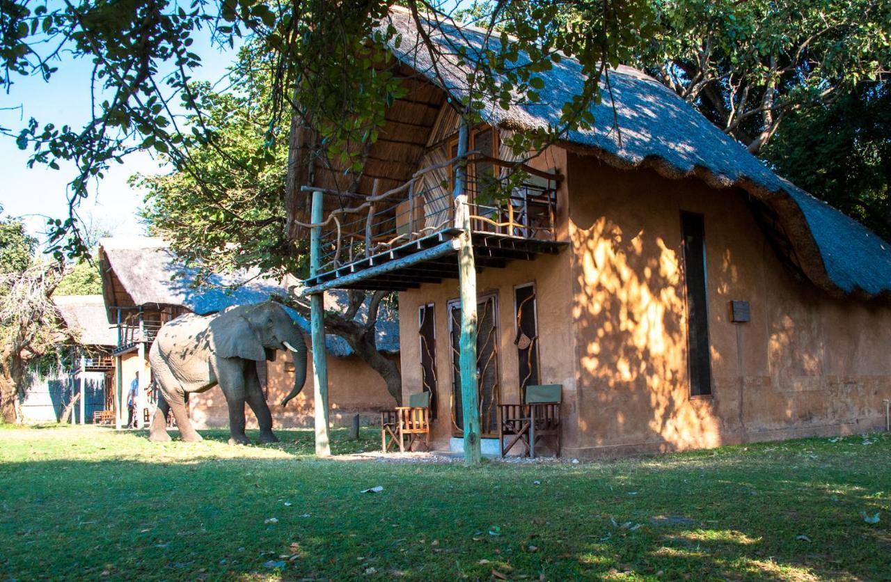 Track And Trail River Camp Kakumbi Luaran gambar